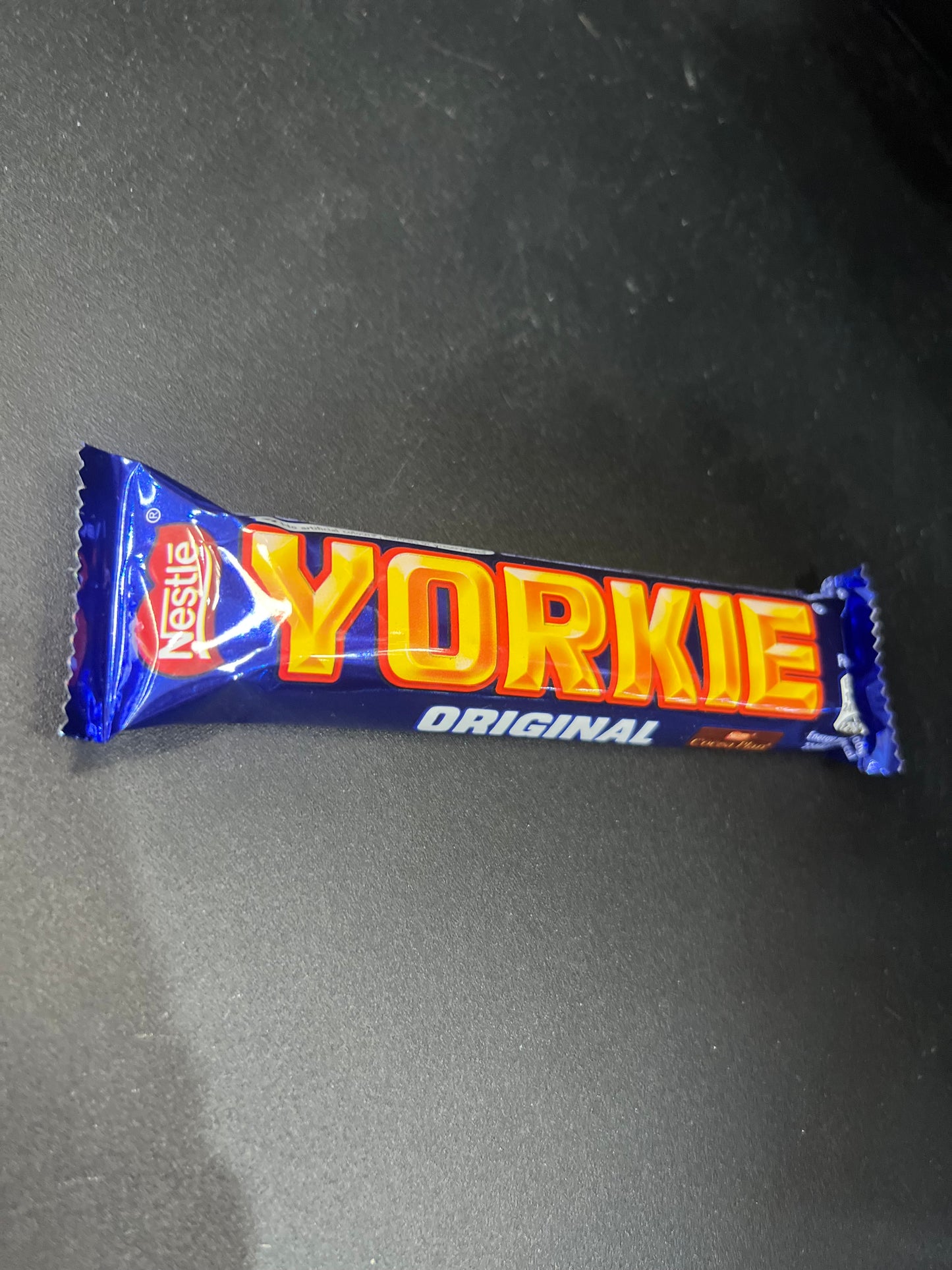 Yorkie